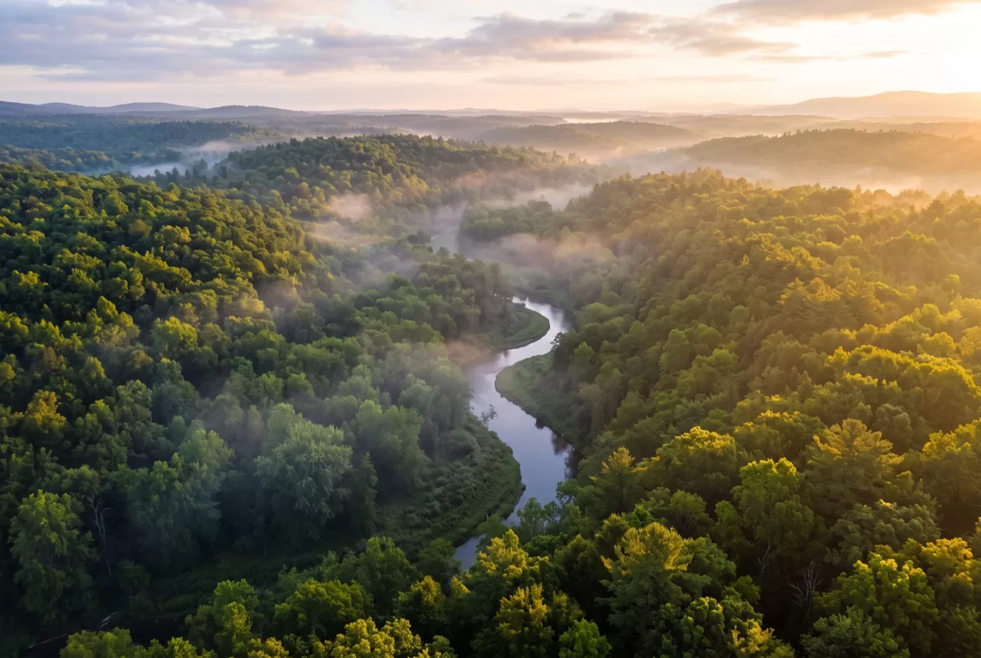 Aerial view of a misty green forest with a winding river at sunrise
